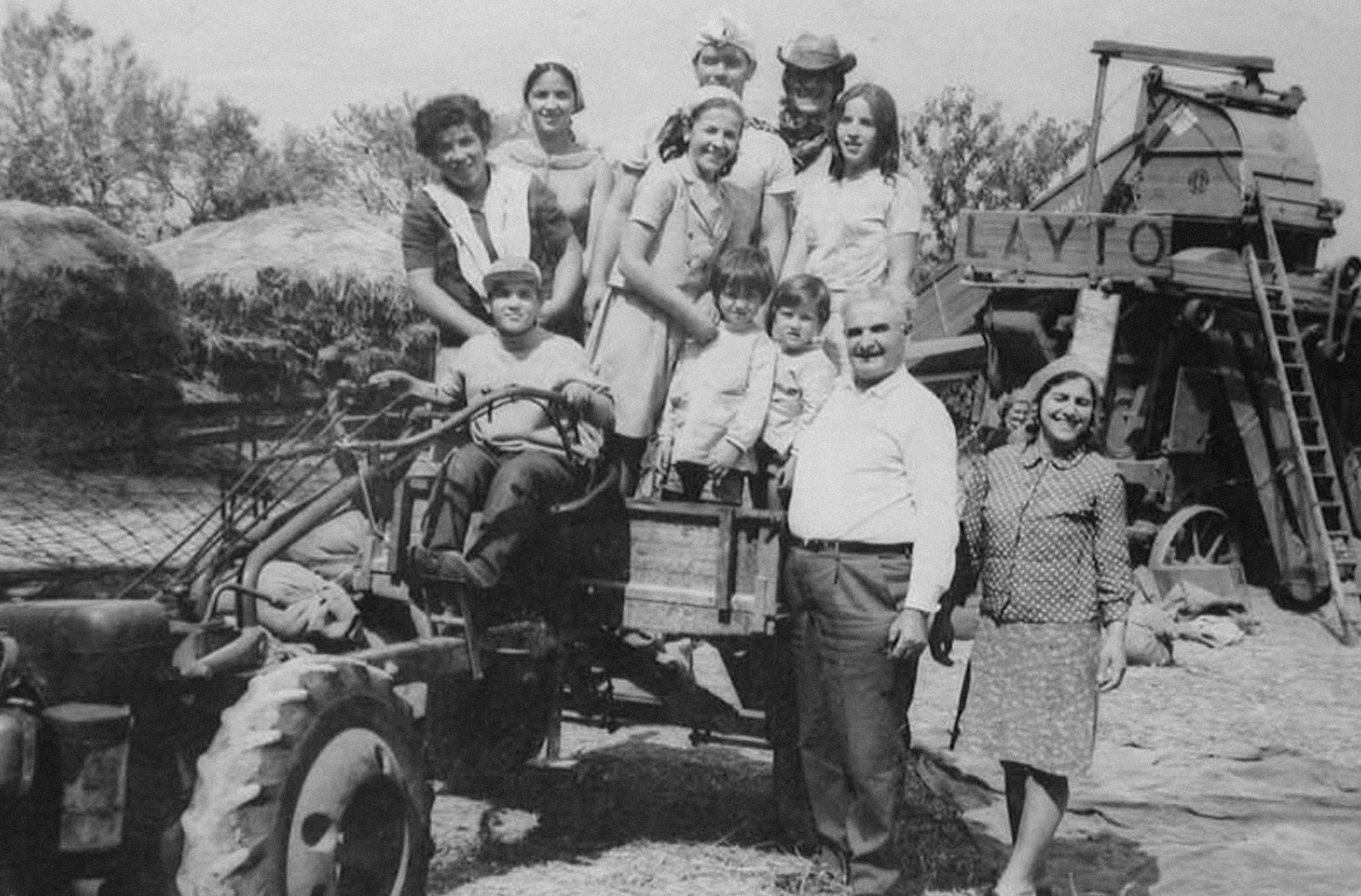 Morbi vitae purus dictum, ultrices tellus in, gravida lectus. 